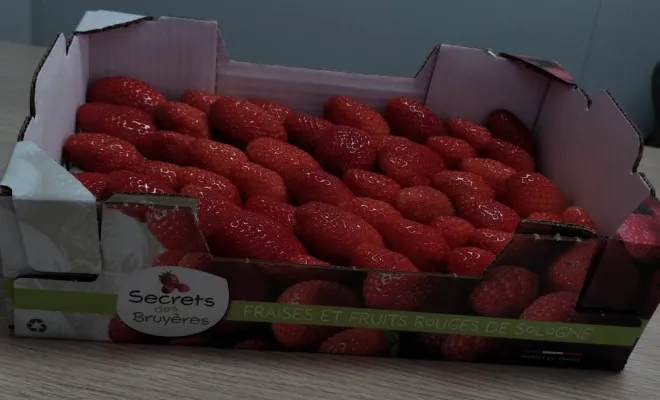 Vente de fraises, Blois, Secrets des Bruyères
