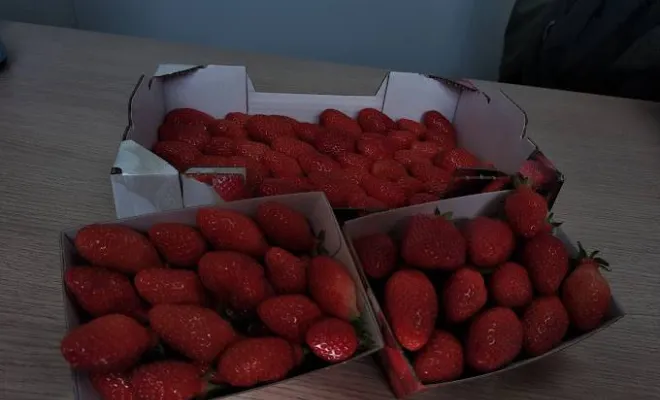 Vente de fraises, Blois, Secrets des Bruyères