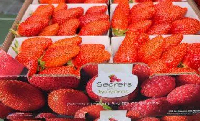 Vente de fraises, Blois, Secrets des Bruyères
